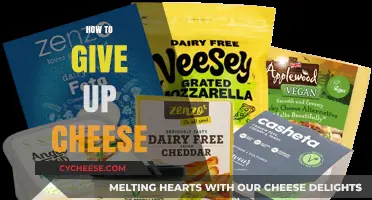 Ditching Dairy: A Guide to Giving Up Cheese for Good