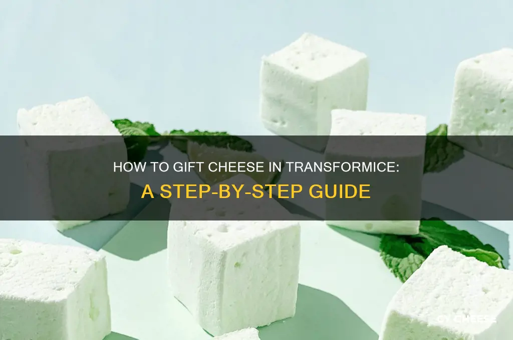 how to give your cheese on transformice to someone