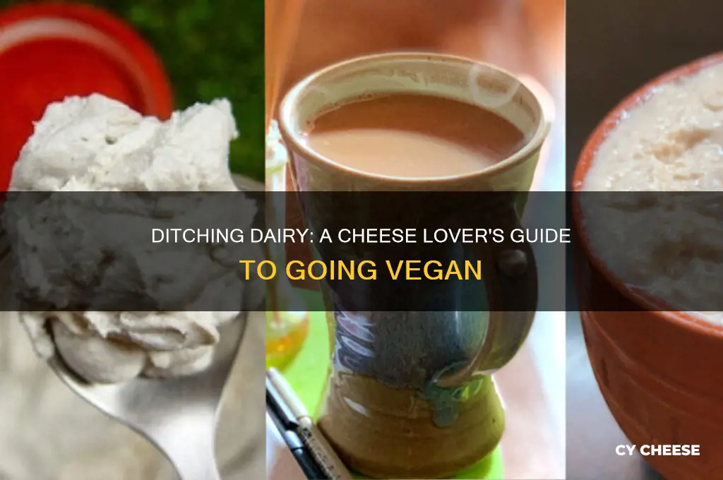 how to go vegan when you love cheese