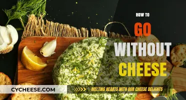 Ditching Dairy: Creative Ways to Live Cheese-Free and Thrive