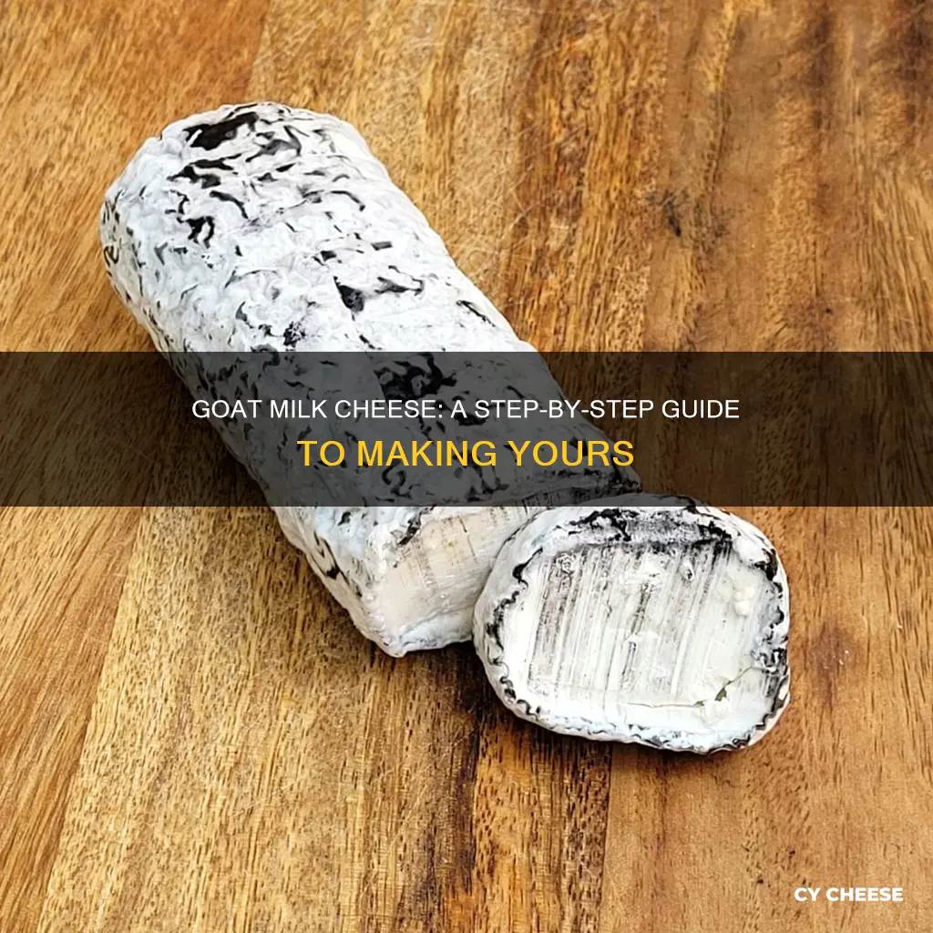 how to goat milk cheese