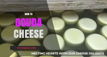 Mastering the Art of Gouda Cheese: A Step-by-Step Guide