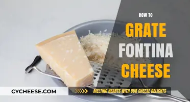 Mastering the Art of Grating Fontina Cheese: Tips and Techniques