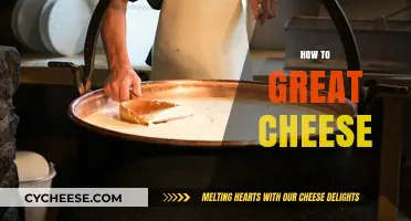 Mastering the Art of Crafting Perfect Cheese: Tips and Techniques