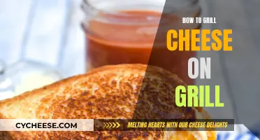 Grilled Cheese Perfection: Mastering the Grill Technique
