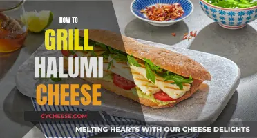 Grilled Halumi Cheese: A Beginner's Guide to Perfection