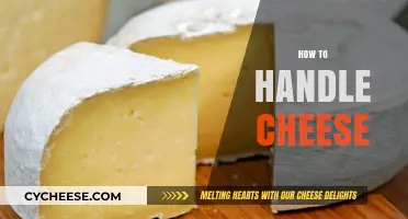 Mastering Cheese Care: Tips for Storing, Cutting, and Serving Cheese