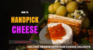 Mastering the Art of Handpicking Cheese: A Connoisseur's Guide