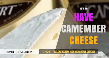 Mastering Camembert: Tips for Enjoying This Creamy French Cheese