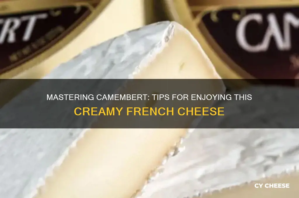 how to have camembert cheese