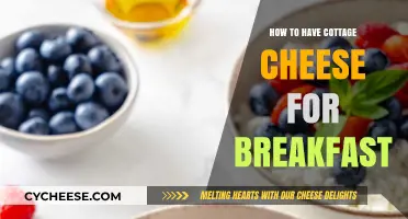Delicious Cottage Cheese Breakfast Ideas: Quick, Healthy, and Easy Recipes