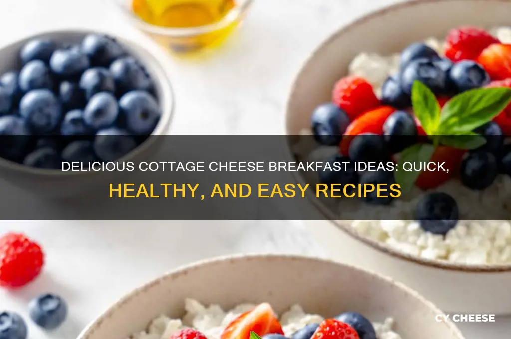 how to have cottage cheese for breakfast