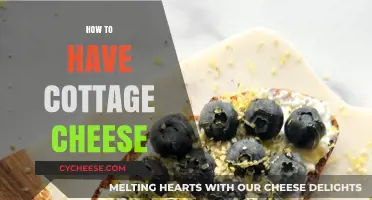 Delicious Ways to Enjoy Cottage Cheese: Creative and Healthy Ideas