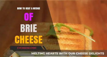 Perfectly Melty Brie: Simple Tips to Heat Your Cheese Wedge