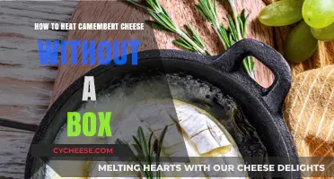 Perfectly Melty Camembert: Heating Without the Box – Simple Tips