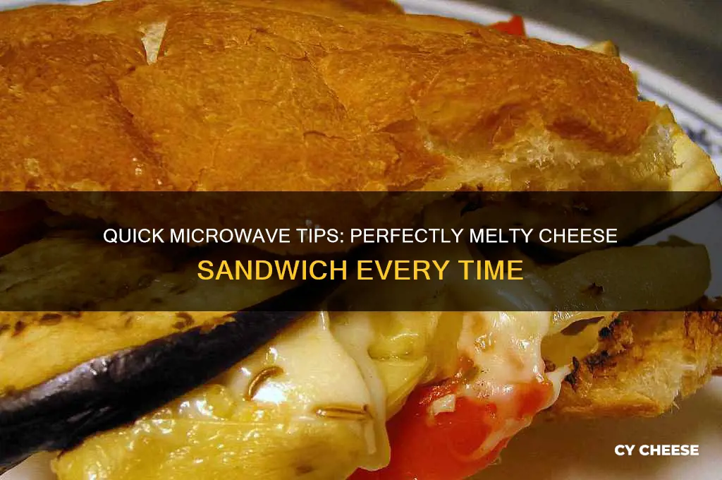 how to heat up cheese sandwich in microwave