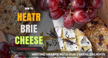 Mastering the Art of Heating Brie Cheese Perfectly Every Time