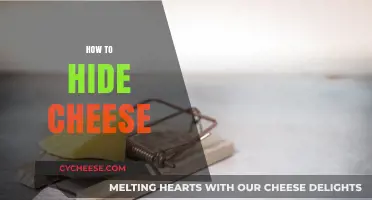 Creative Ways to Secretly Store Cheese: Tips for Cheese Lovers