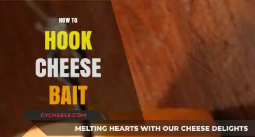 Mastering the Art of Hooking Cheese Bait for Effective Fishing