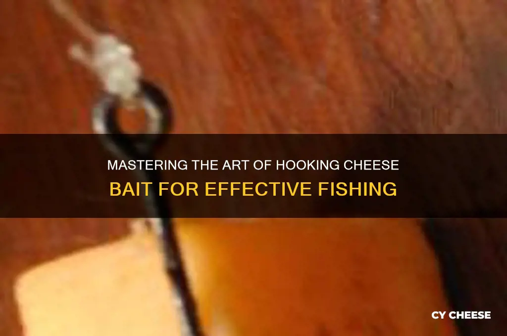 how to hook cheese bait