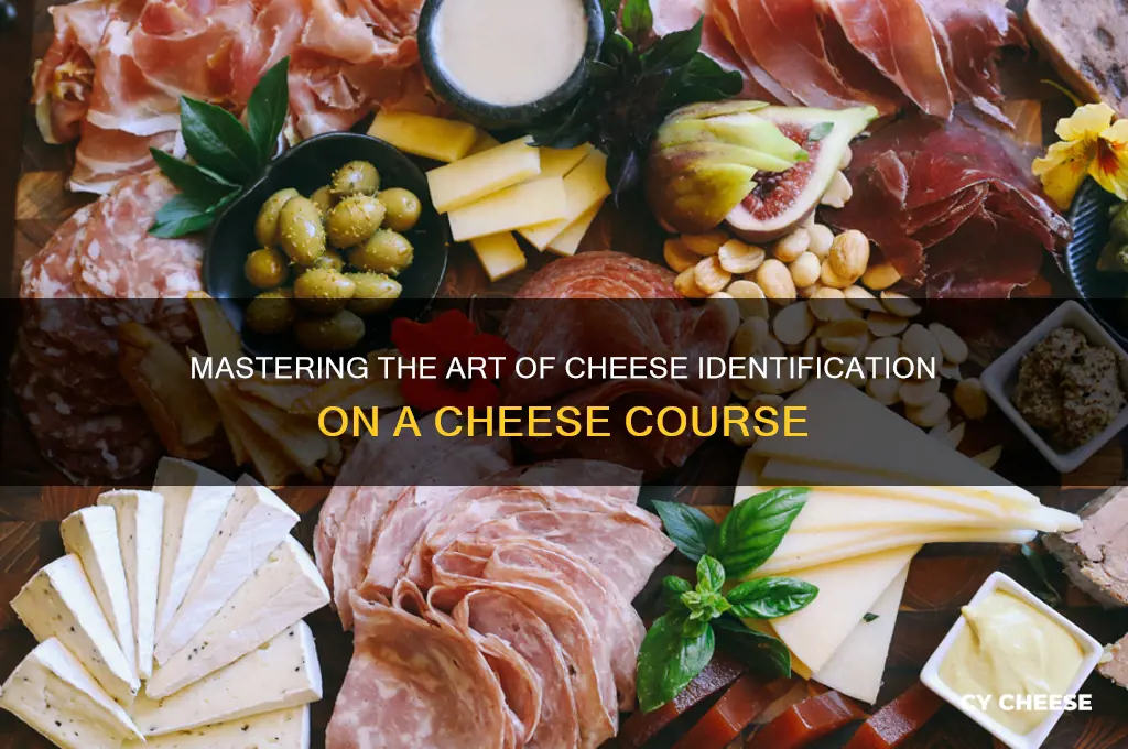 how to identify cheese on a cheese course