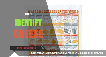 Mastering Cheese Identification: A Guide to Texture, Aroma, and Taste