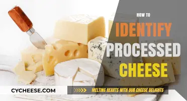 Spotting Processed Cheese: Key Signs and Simple Identification Tips