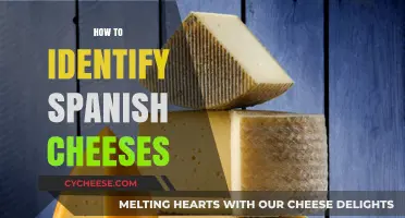 Mastering Spanish Cheeses: A Guide to Identifying Authentic Varieties