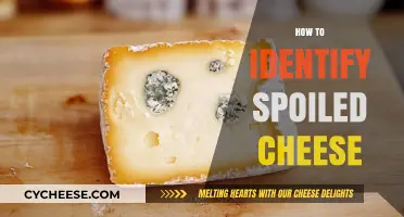 Spotting Spoiled Cheese: Key Signs and Smells to Watch For
