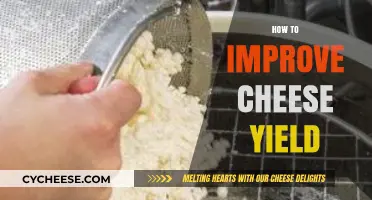 Maximizing Cheese Yield: Proven Techniques for Higher Production Efficiency