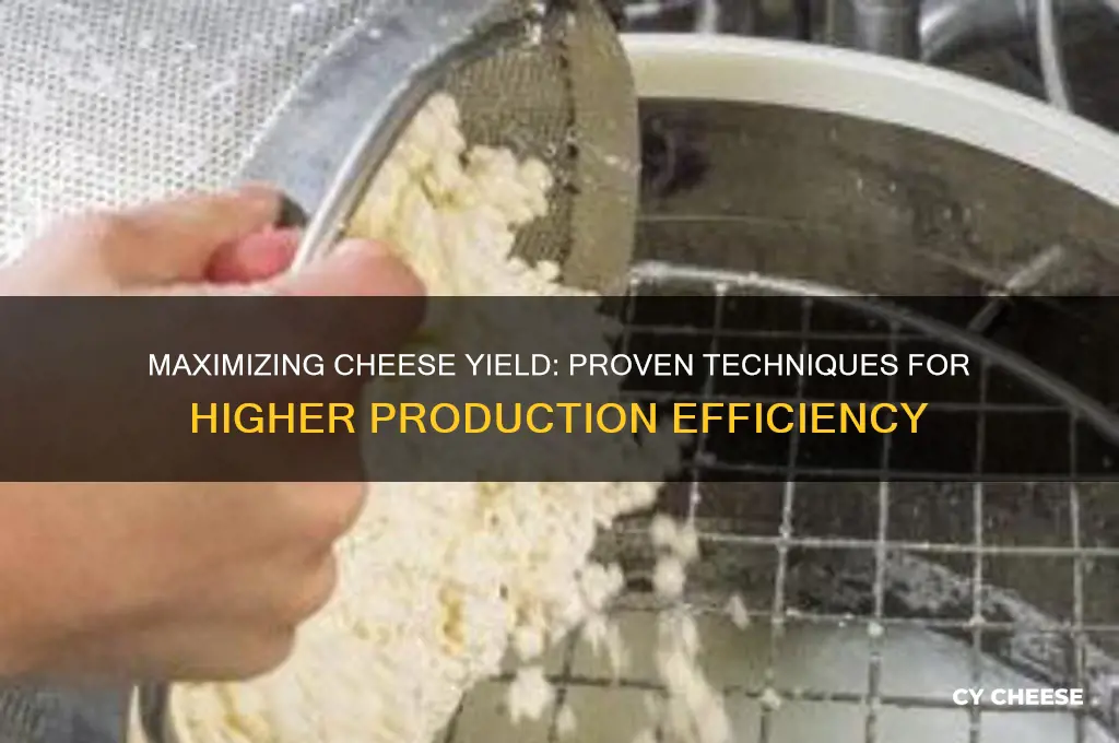 how to improve cheese yield