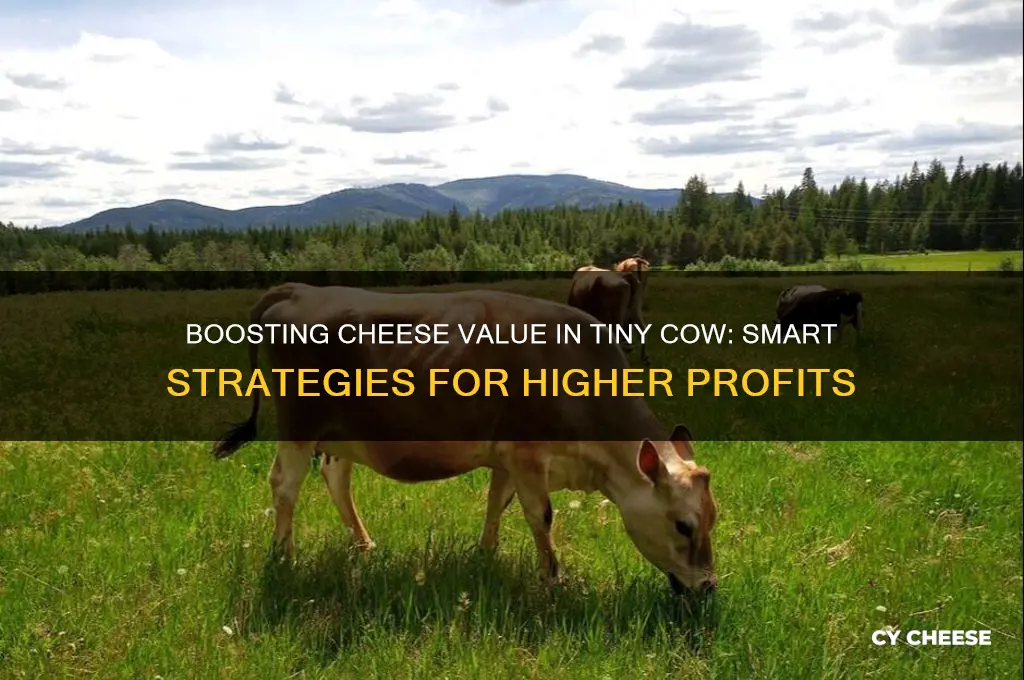 how to increase cheese worth in tiny cow