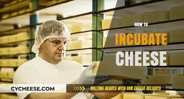 Mastering Cheese Incubation: Techniques for Perfect Homemade Cheese