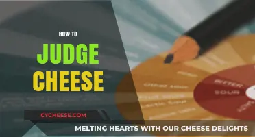 Mastering the Art of Cheese Tasting: A Guide to Judging Cheese