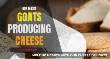 Maximizing Goat's Milk: Strategies for Sustained Cheese Production