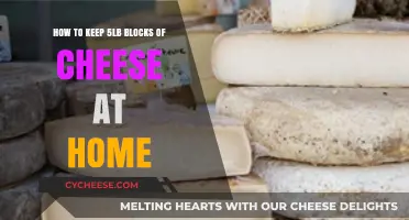 Storing 5lb Cheese Blocks: Home Preservation Tips for Freshness