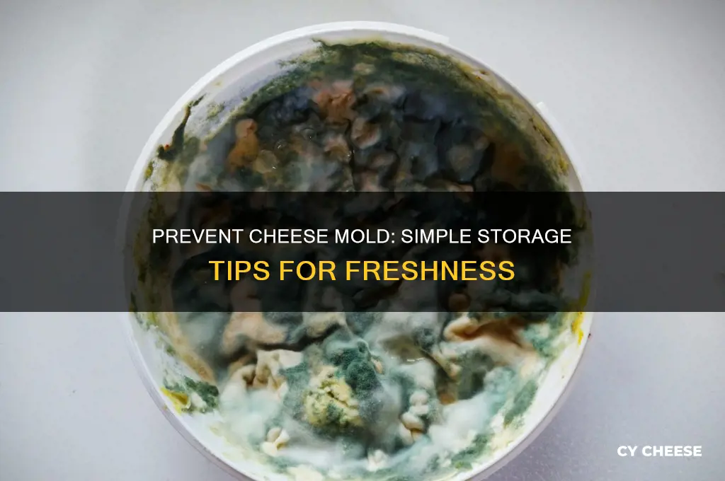 how to keep a block of cheese from molding