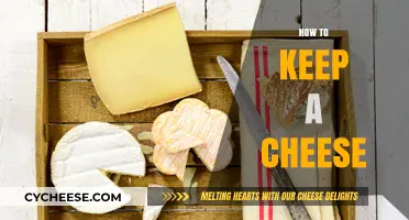 Mastering Cheese Storage: Tips to Keep Your Cheese Fresh Longer