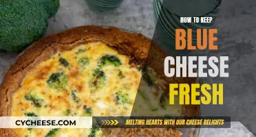 Blue Cheese Care: Keeping It Fresh and Flavorful