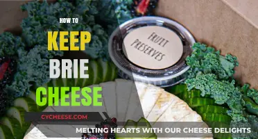 Mastering Brie Storage: Tips to Keep Your Cheese Perfectly Fresh