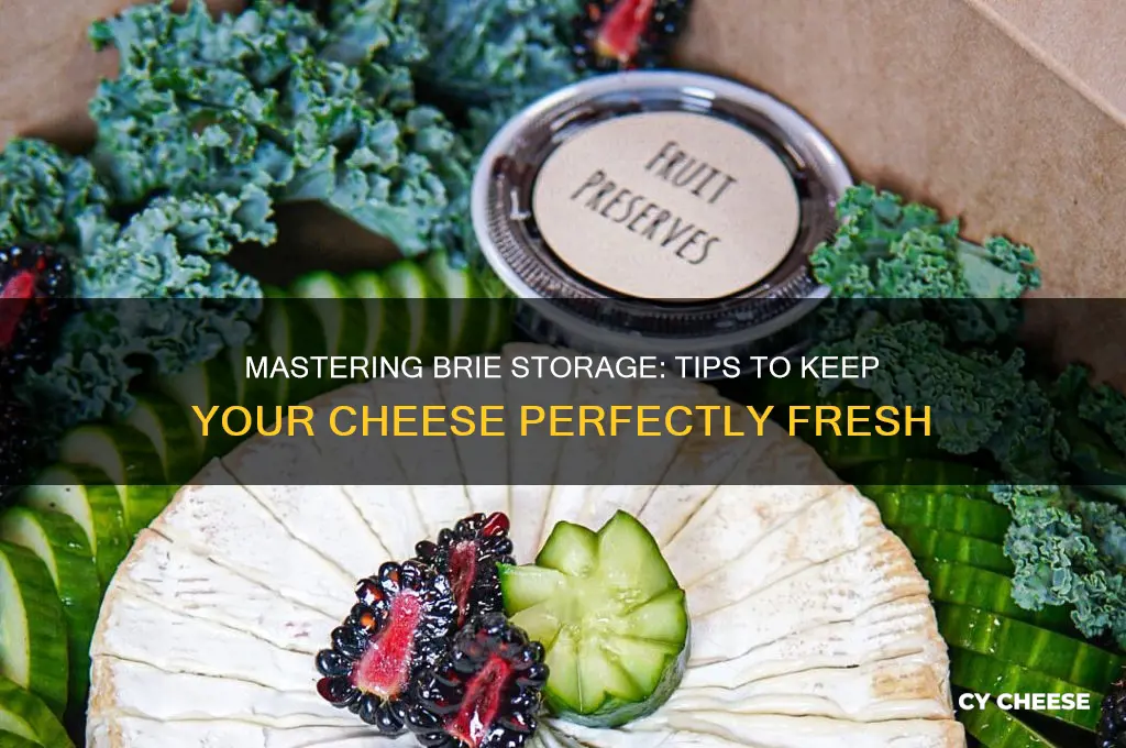 how to keep brie cheese