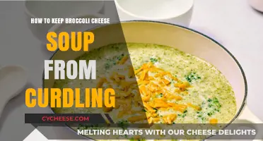 Prevent Broccoli Cheese Soup Curdling: Simple Tips for Creamy Perfection