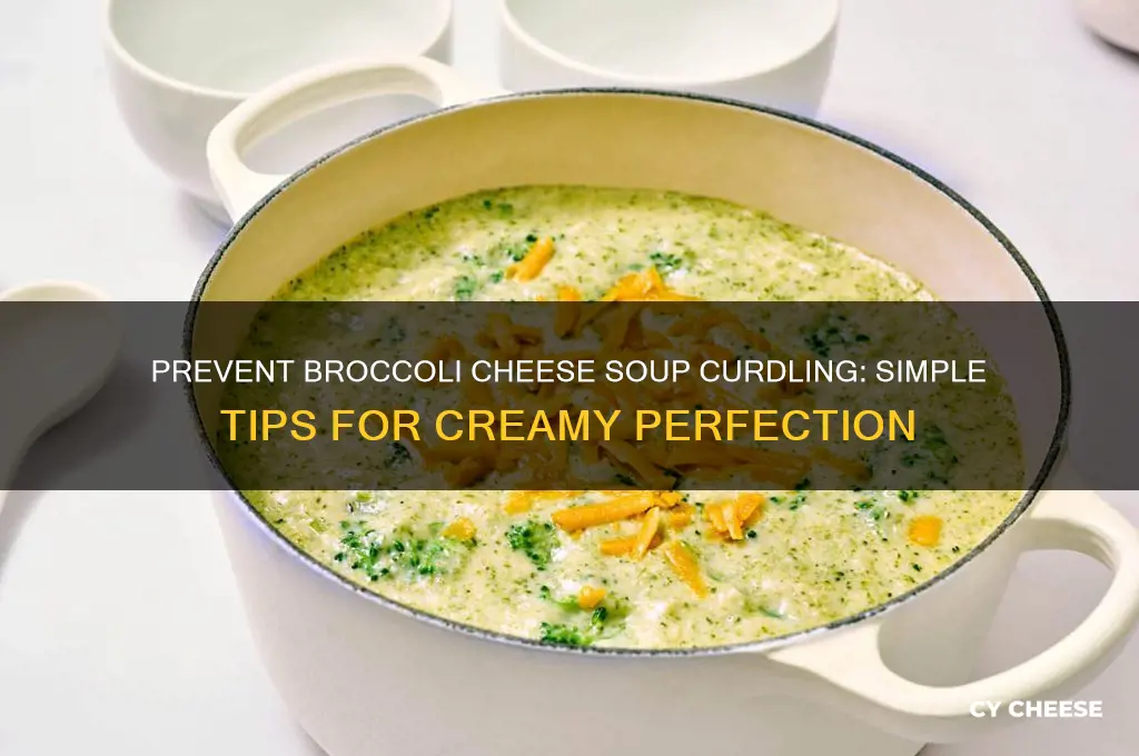 how to keep broccoli cheese soup from curdling