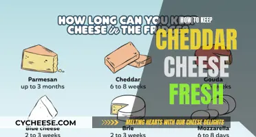 Cheddar Cheese: Tips for Keeping It Fresh and Flavorful