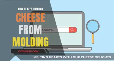 Cheddar Cheese Care: Tips to Prevent Mold Growth