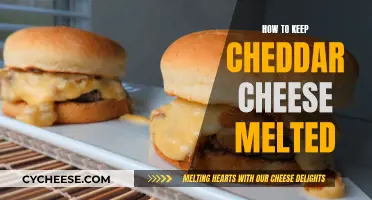 Keeping Cheddar Cheese Melted: Tips for Success