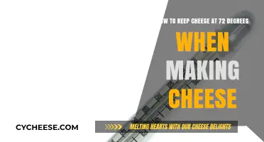 Maintaining Perfect Cheese Temperature: Tips for 72-Degree Cheese Making