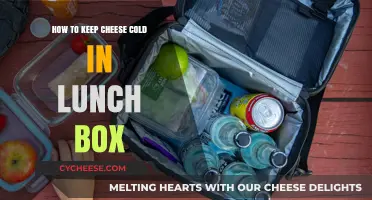 Smart Tips to Keep Cheese Cold and Fresh in Your Lunch Box