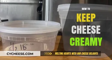 Mastering Creamy Cheese: Storage Tips for Perfect Texture Every Time