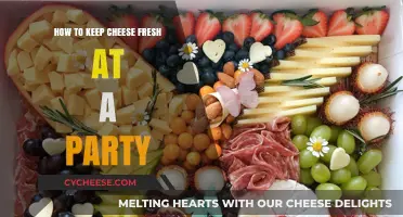 Cheese Board Secrets: Keeping Cheese Fresh and Flavorful at Parties
